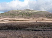 Big horn N.P_02.JPG